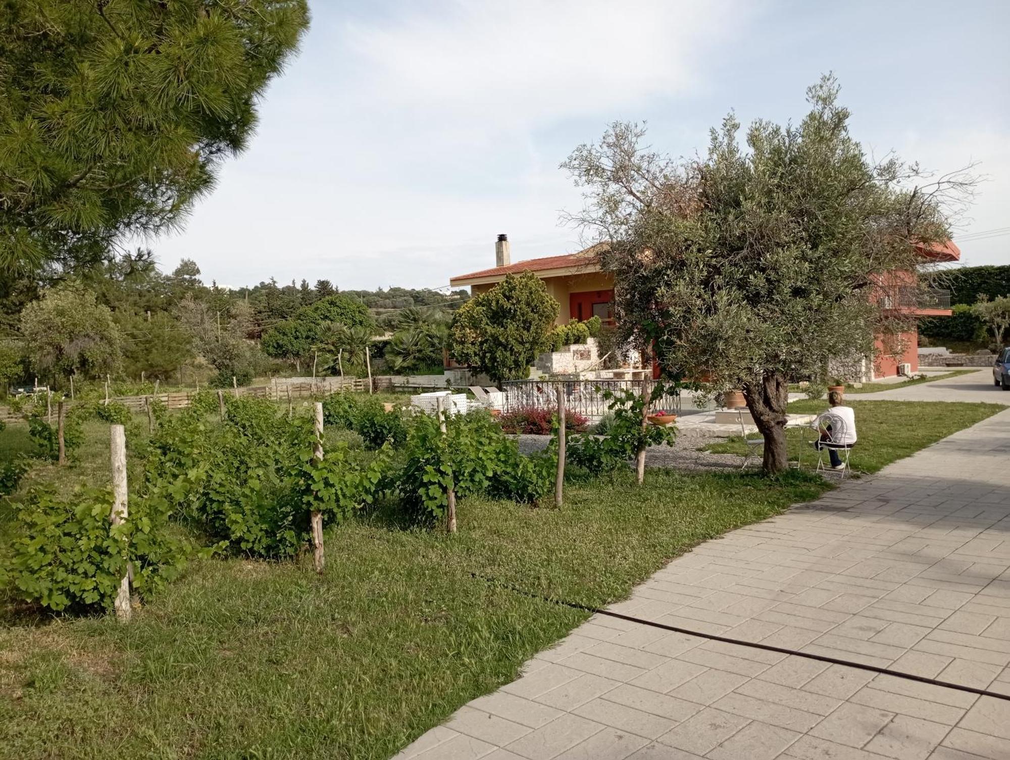 Emarmene Home With Private Pool Near Rhodes Town & Airport Koskinou  ภายนอก รูปภาพ
